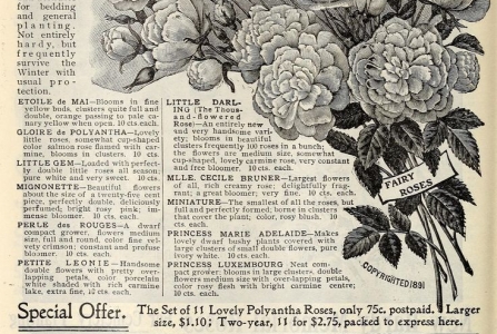 26萬大缺工！家電大廠也淪陷　營造加薪搶工人　旅宿回收退休者（壹蘋10點強打）