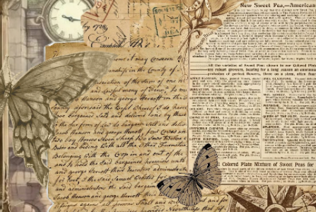 【2026新變局】僑外生留台工作門檻新低，中高齡工作者如何用5個心法出擊應變？